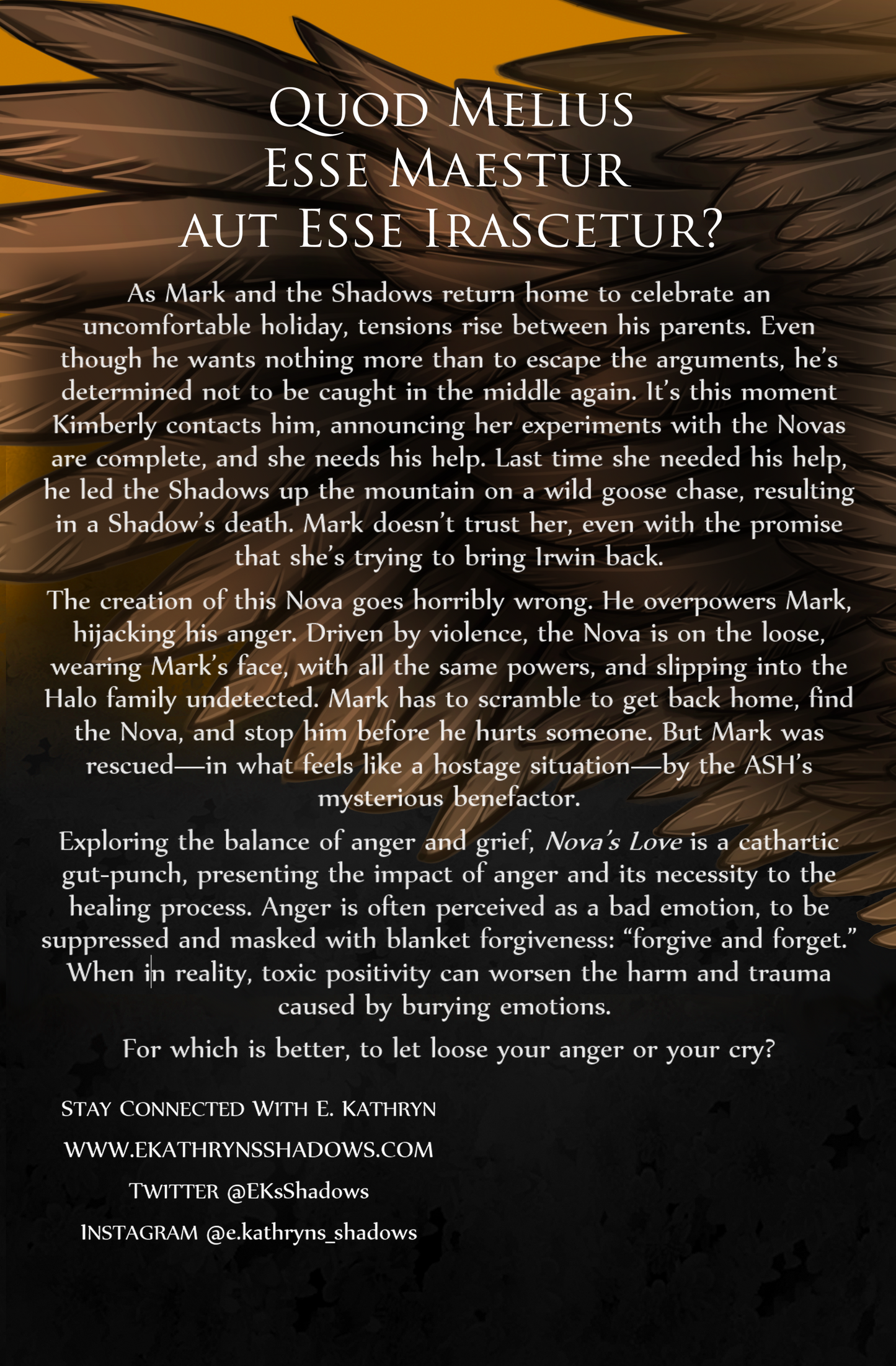4 The Shadows: Nova's Love Paperback